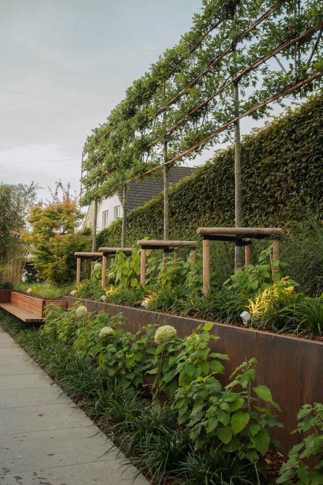 Ein moderner Garten in Deutschland und Luxemburg besteht aus einem erhöhten Metalltopf mit üppigen grünen Pflanzen und Bäumen, die flach an horizontalen Stützen entlang wachsen, neben stilvollen Gartenmöbeln und einer Holzbank am Gehweg.