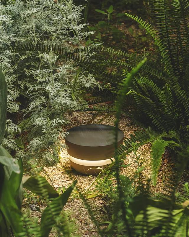 Eine moderne, runde Außenleuchte mit dunkler Spitze leuchtet sanft auf dem Boden, umgeben von üppig grünem Farn und dichtem Laub - ein idealer Akzent für Burelbach Gardendesign in Deutschland und Luxemburg.