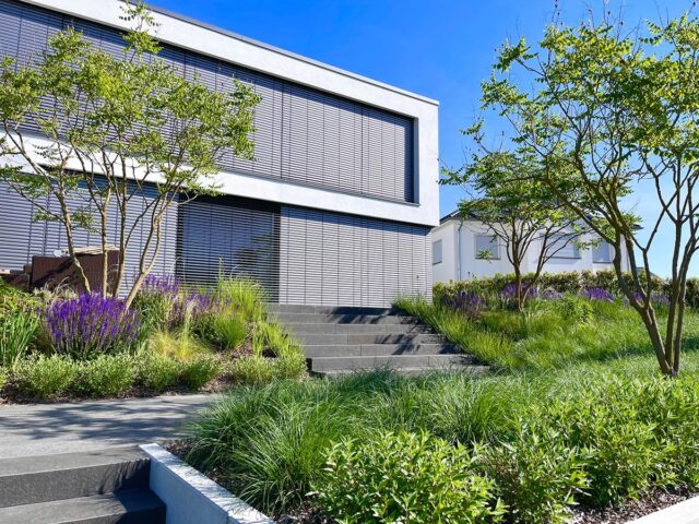 Modernes Haus mit großen horizontalen Fenstern und Metalljalousien, umgeben von Grünflächen, lila Blumen und stilvollen Gartenmöbeln, mit einer Treppe, die an einem sonnigen Tag zum Eingang hinaufführt - perfekt für alle, die Gardendesign schätzen.