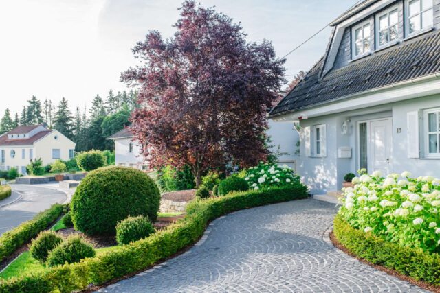 Ein gepflegtes Haus mit grauem Dach und weißen Wänden, umgeben von gepflegten Sträuchern, Hortensien und einem rotblättrigen Baum, präsentiert ein elegantes Gardendesign. Eine geschwungene Steinauffahrt führt zum Eingang. Im Hintergrund sind andere Häuser zu sehen.