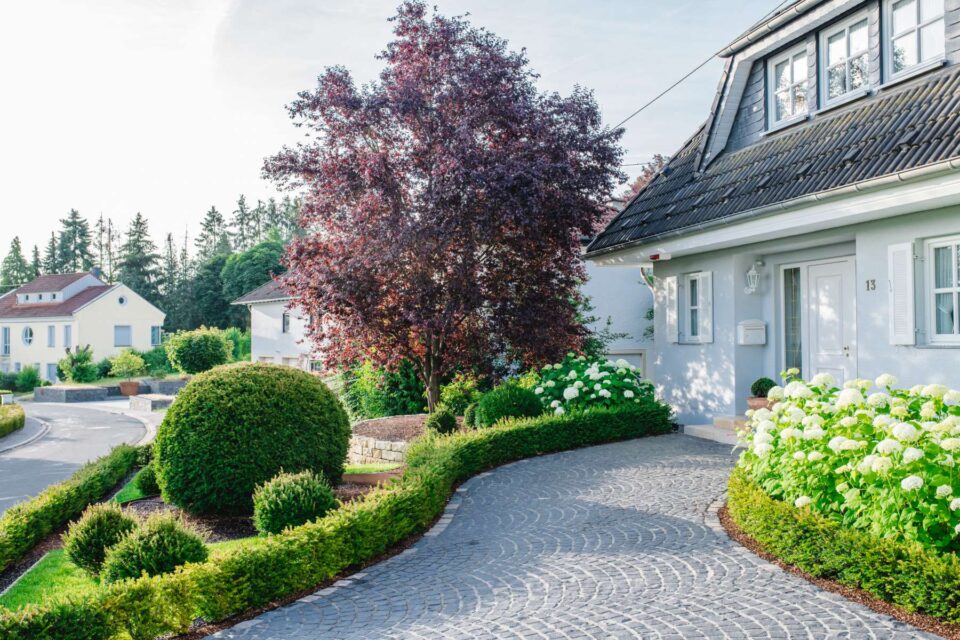 Ein gepflegtes Haus mit grauem Dach und weißen Wänden, umgeben von gepflegten Sträuchern, Hortensien und einem rotblättrigen Baum, präsentiert ein elegantes Gardendesign. Eine geschwungene Steinauffahrt führt zum Eingang. Im Hintergrund sind andere Häuser zu sehen.