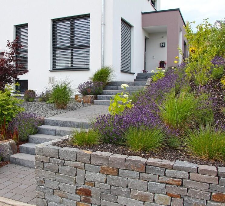 Moderner Hauseingang mit grauen Stufen, einer Steinmauer und bepflanzten Gartenbeeten, die die Gardendesign-Trends aus Luxemburg und Deutschland widerspiegeln, mit Ziergräsern, Lavendel und stilvollen Gartenmöbeln neben großen Fenstern an der weißen Fassade.
