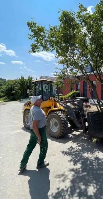 Ein Mann in grüner Hose und grauem Hemd, der möglicherweise im Garten- und Landschaftsbau arbeitet, geht an einem sonnigen Tag an einem gelben Volvo-Baufahrzeug vorbei, das in der Nähe eines Baums und eines roten Gebäudes geparkt ist.