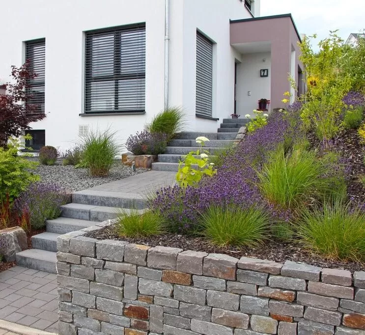 Modernes Haus mit Steintreppe, Gartenbau-inspirierten Beeten und lila Blumen vor dem Eingang. Perfekt für Liebhaber des Gartendesigns in Deutschland.